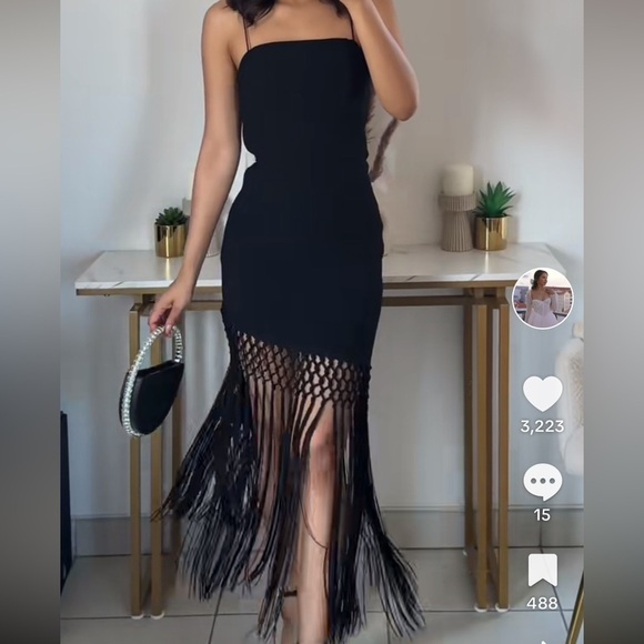 NWT ZARA VIRAL 2025 COLLECTION FRINGED DRESS SIZE M
🚨FIRM PRICE NO DISCOUNT - Picture 4 of 14
